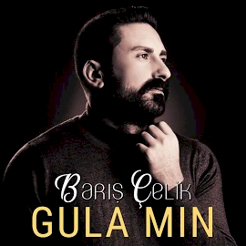 Barış Çelik Gula Min albüm indir