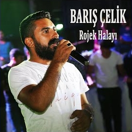 Barış Çelik Rojek Halayı albüm indir