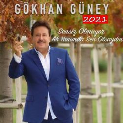 Gökhan Güney Sensiz Olmuyor albüm indir